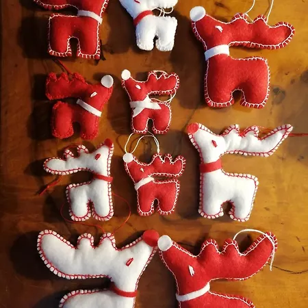 4 Personnes Proche Centre * Strasbourg